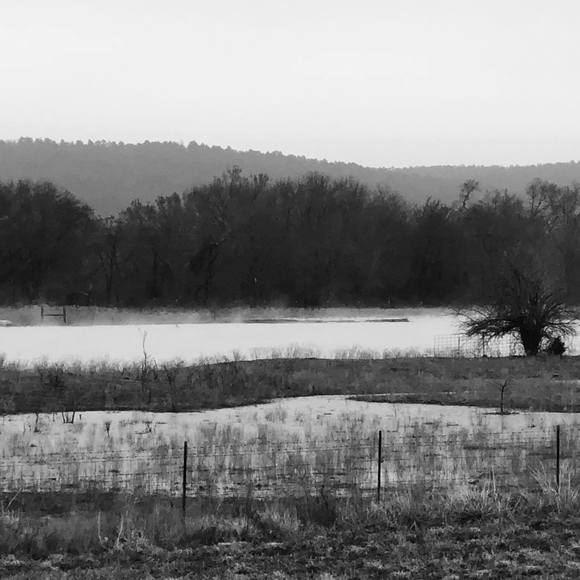 Meet your Posher, Robert - Picture 1 of 1